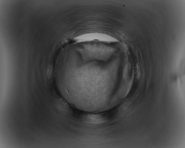 X0000086770283200705041514