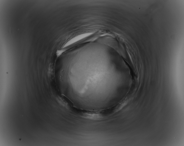 X0000086770284200705041514