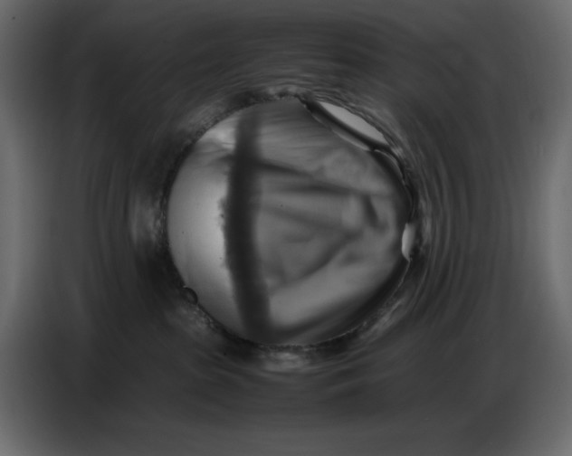 X0000086770285200705041514