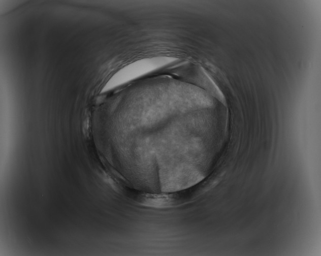 X0000086770288200705041514