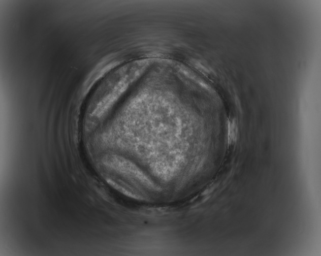 X0000086770291200705041513