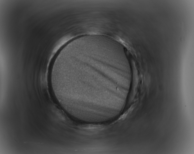 X0000086770292200705041513