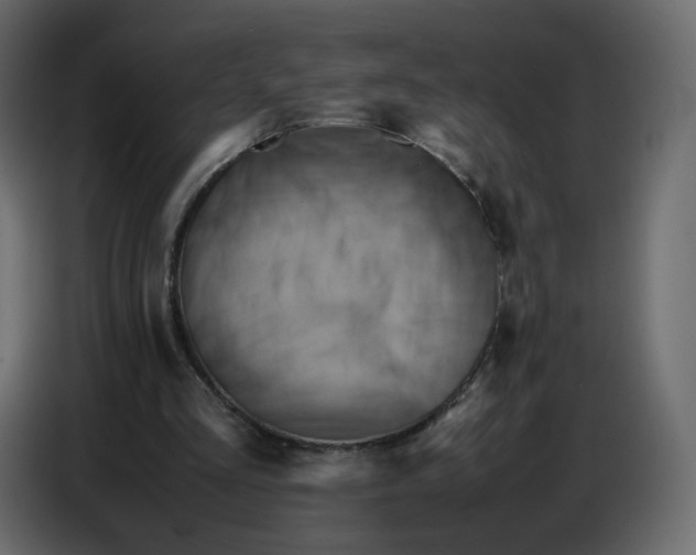 X0000086770293200705041513