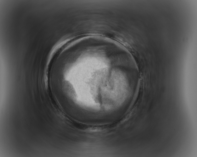 X0000086770294200705041513