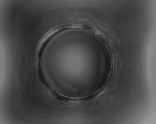 X0000086770295200705041513