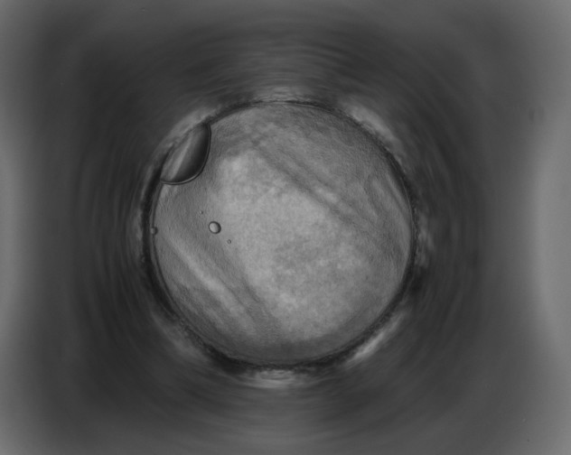 X0000086770298200705041513