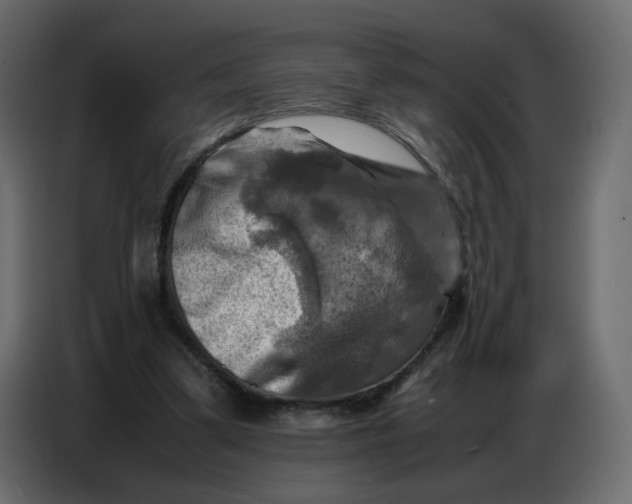X0000086770299200705041513