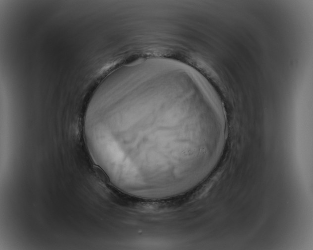 X0000086770305200705041513