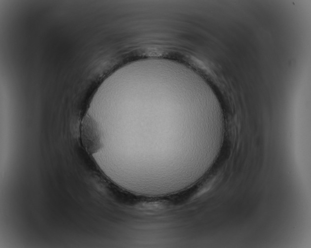 X0000086770307200705041513