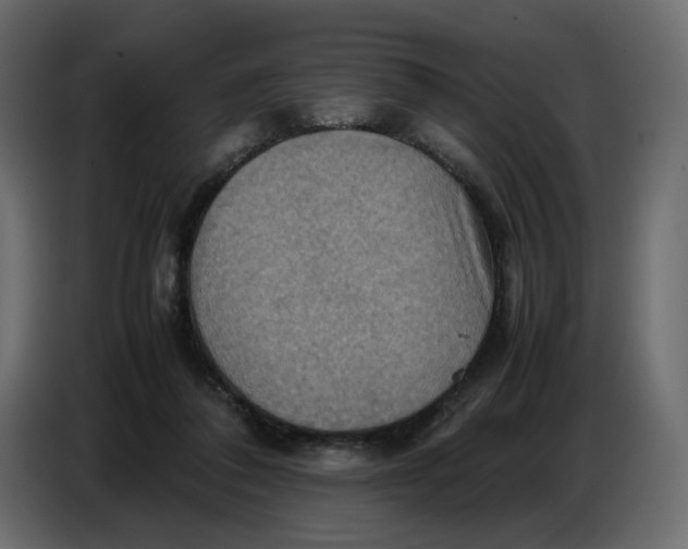 X0000086770308200705041513