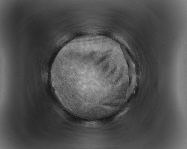 X0000086770309200705041513