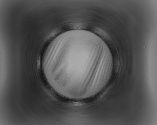 X0000086770310200705041513