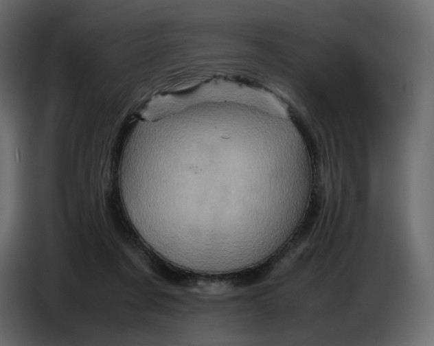 X0000086770311200705041513