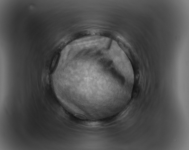 X0000086770313200705041513