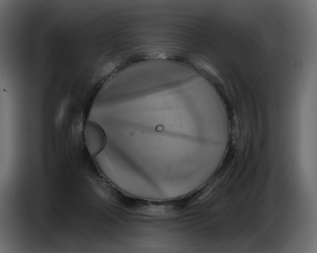 X0000086770314200705041513