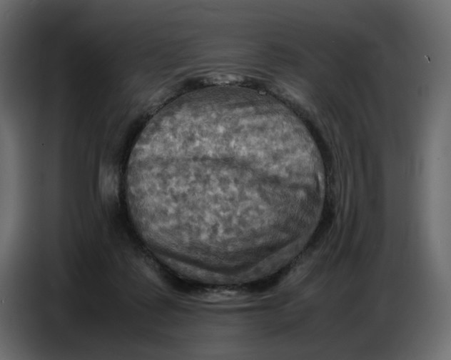 X0000086770315200705041513
