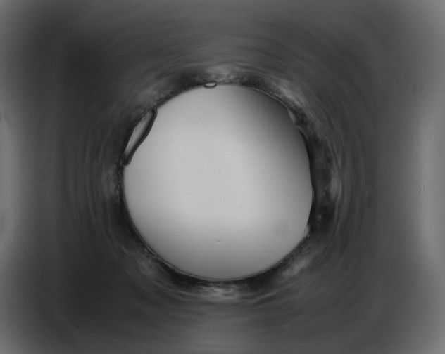 X0000086770317200705041513