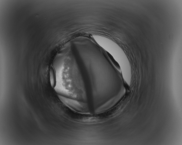 X0000086770319200705041513