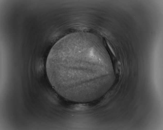 X0000086770320200705041513