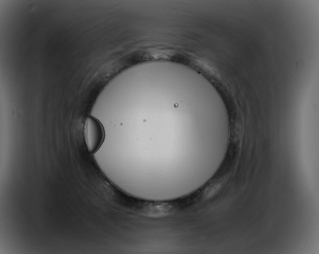 X0000086770321200705041513