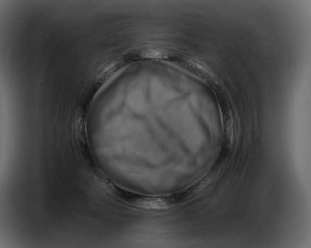 X0000086770322200705041513