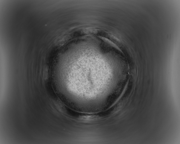 X0000086770323200705041513