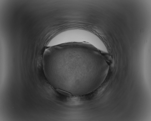 X0000086770325200705041513