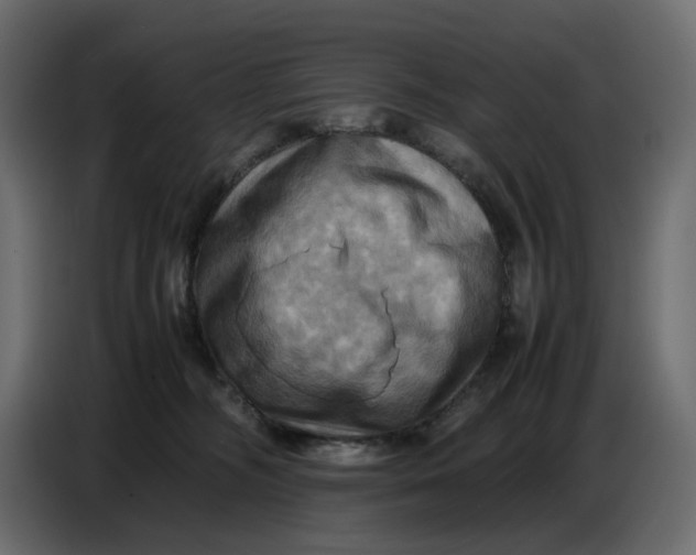 X0000086770326200705041513