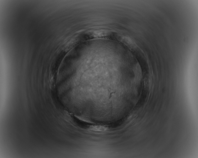 X0000086770327200705041513