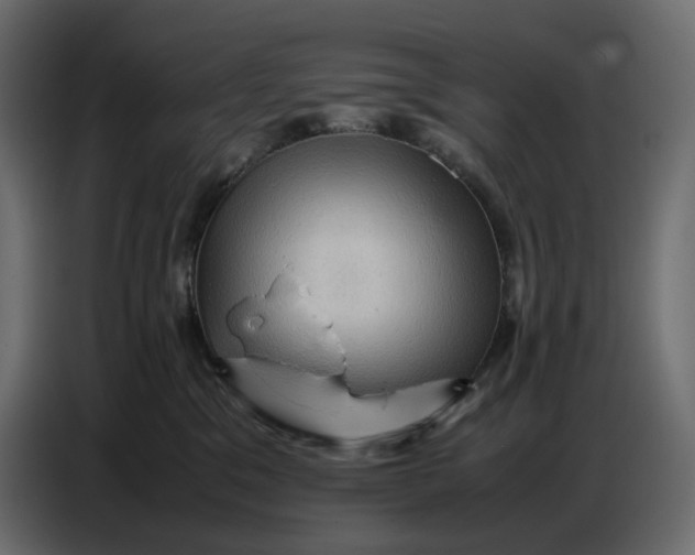 X0000086770329200705041513