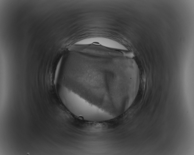 X0000086770330200705041513