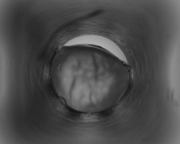 X0000086770331200705041513