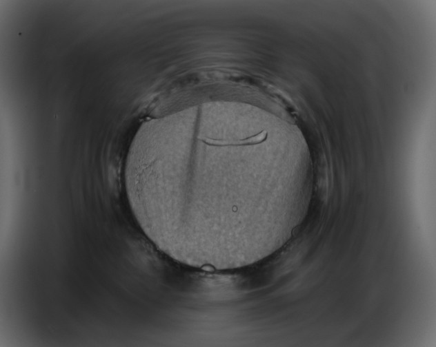 X0000086770332200705041513
