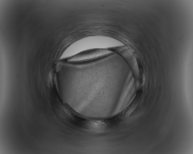 X0000086770333200705041513