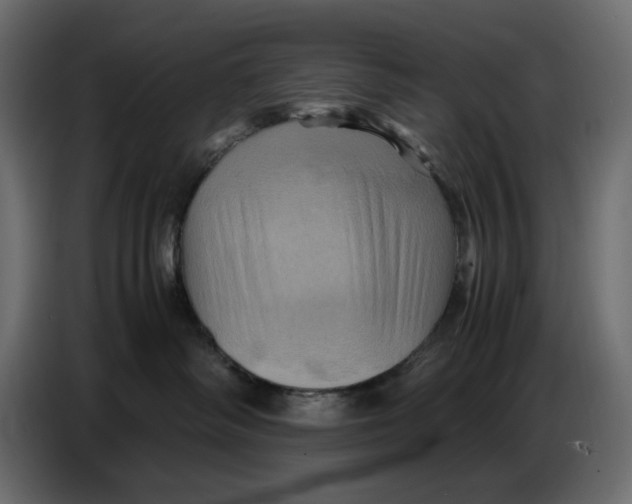X0000086770334200705041513