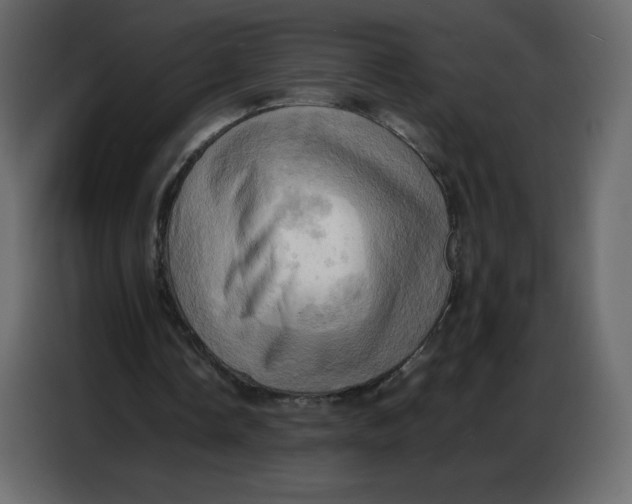 X0000086770338200705041512