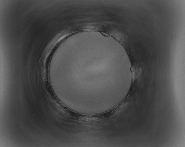 X0000086770339200705041512
