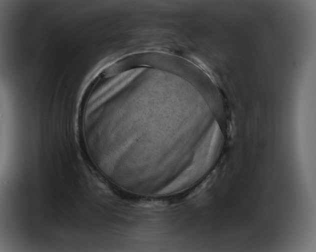 X0000086770340200705041512