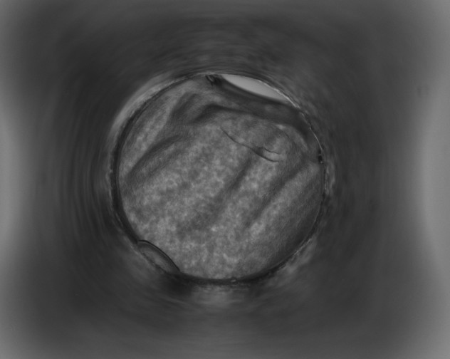 X0000086770341200705041512