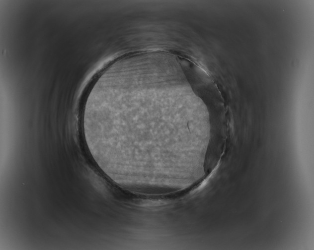 X0000086770342200705041512