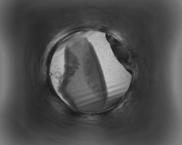 X0000086770343200705041512
