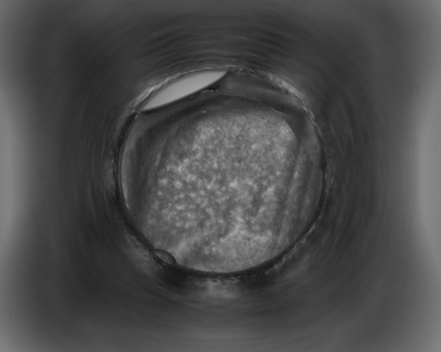 X0000086770345200705041512