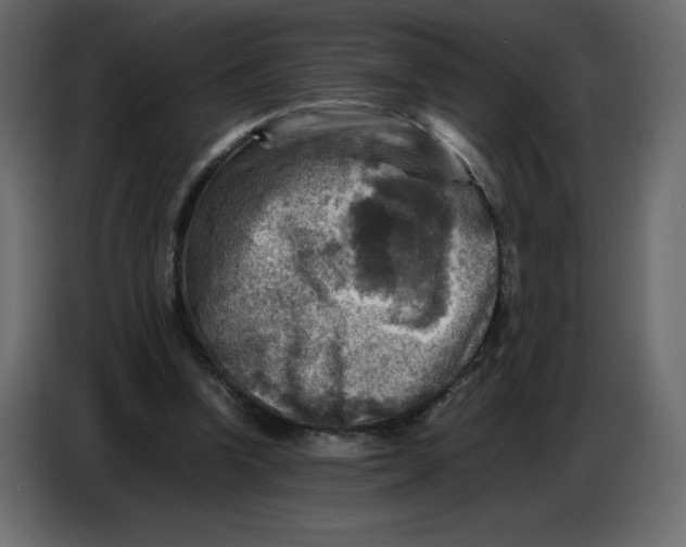 X0000086770346200705041512