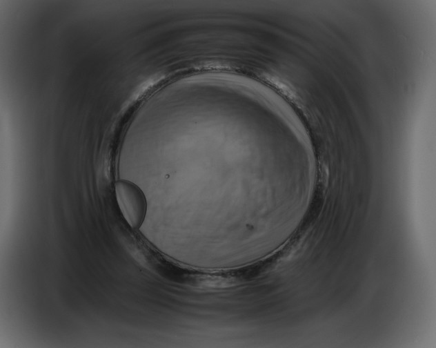 X0000086770347200705041512