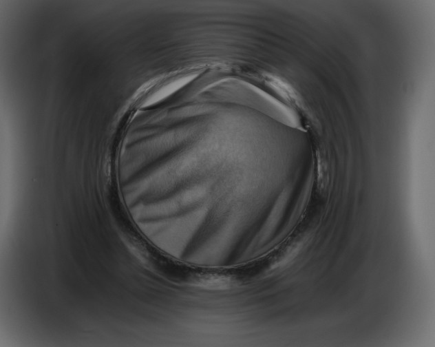 X0000086770348200705041512