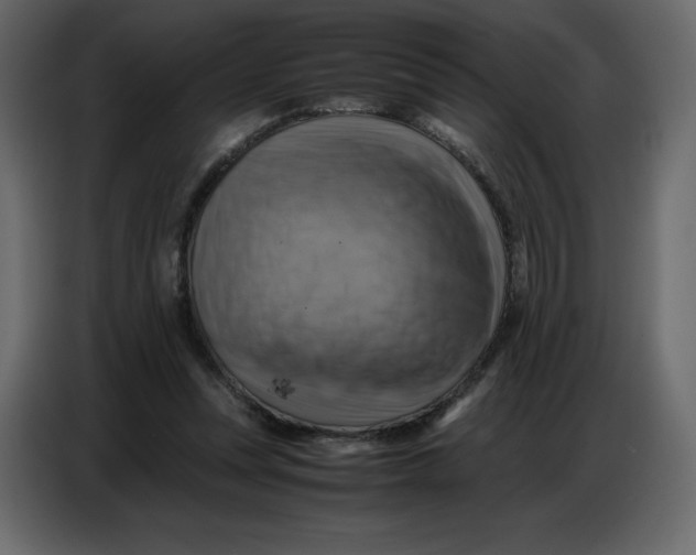 X0000086770351200705041512