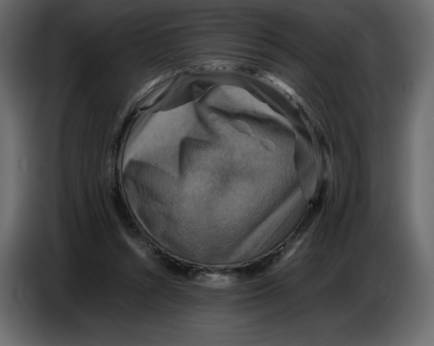 X0000086770352200705041512