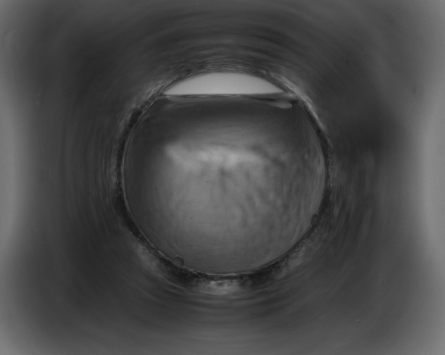 X0000086770353200705041512