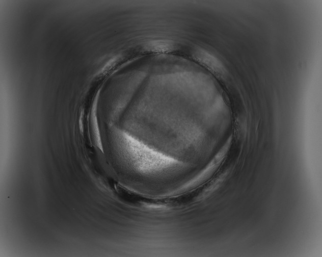 X0000086770358200705041512