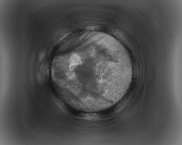 X0000086770363200705041513